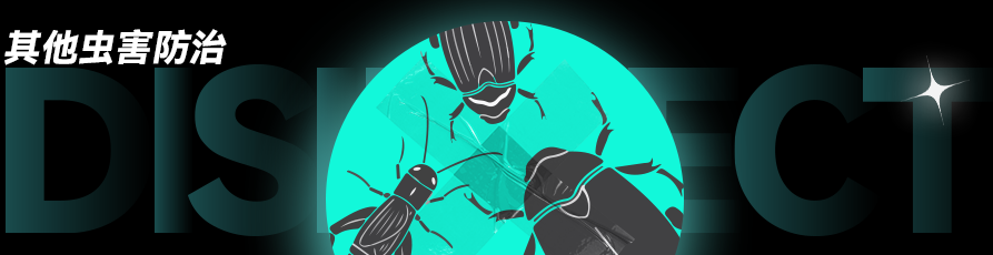 AIwBCAAQAhgAIJr17NUFKOSN9OQDMIAPOIEK